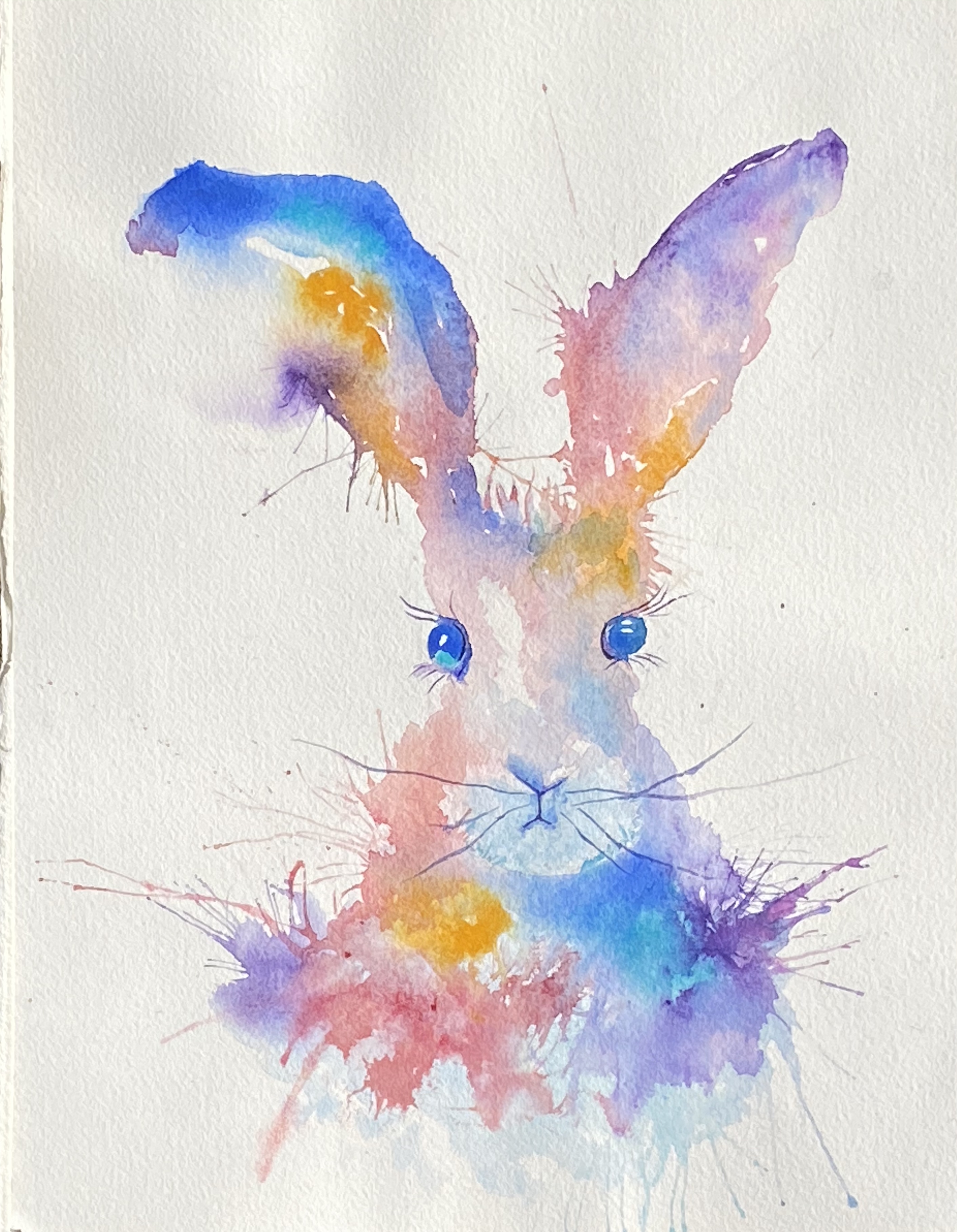 A friendly rabbit